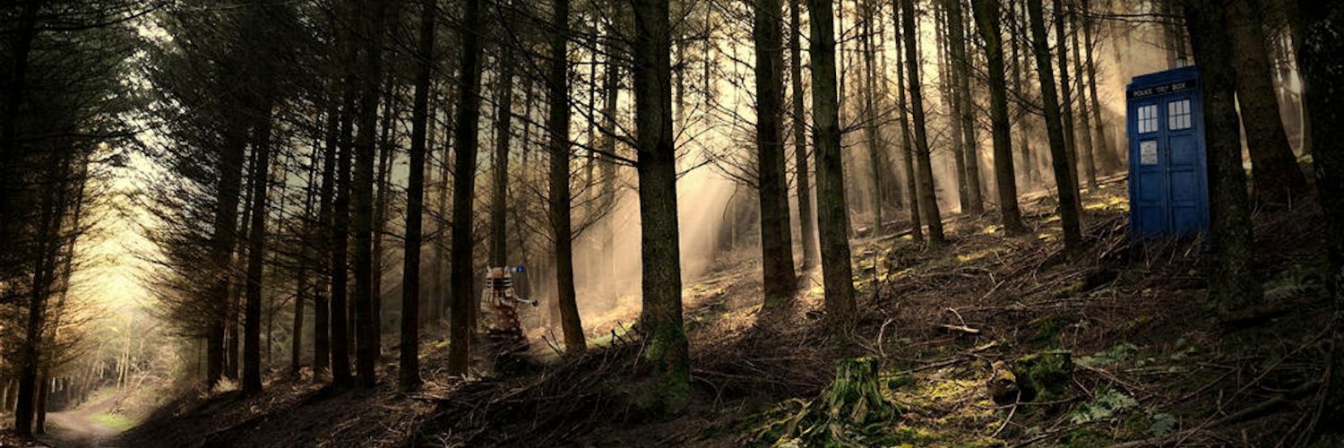 Graham Holland 🐝 banner