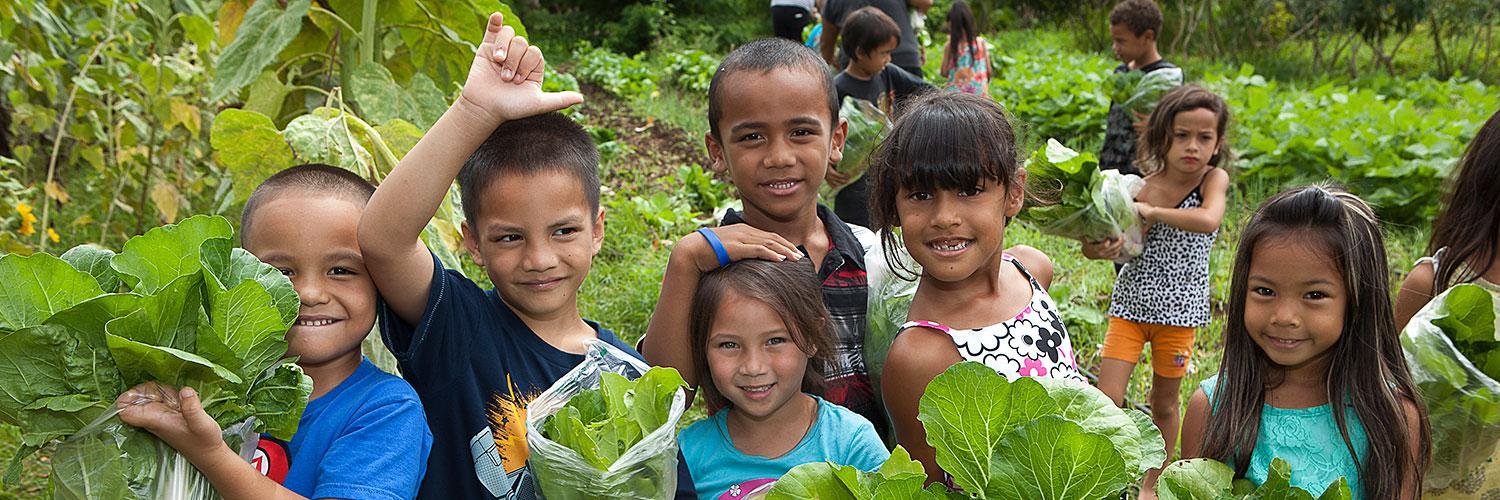 Hawai‘i Public Schools banner