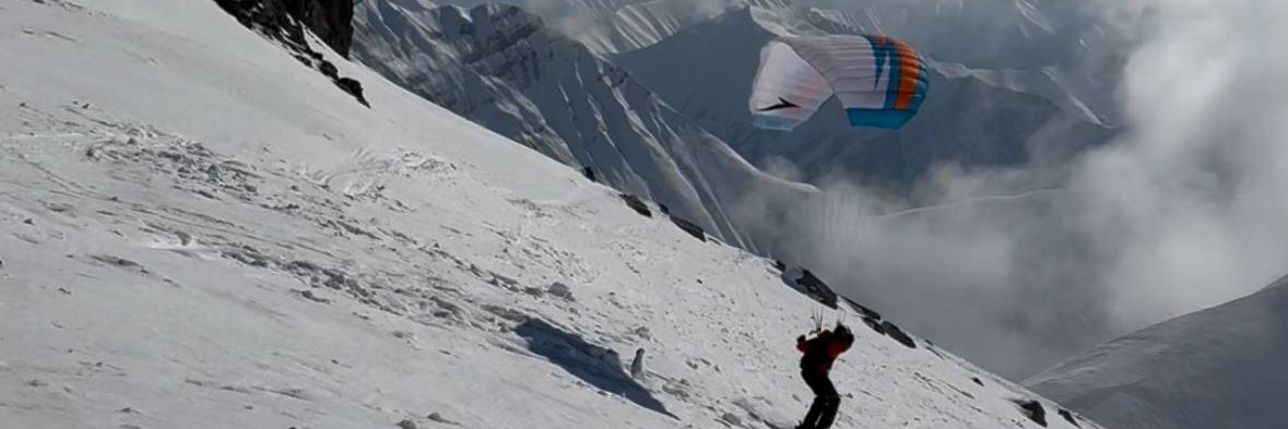 pelicana.eth banner