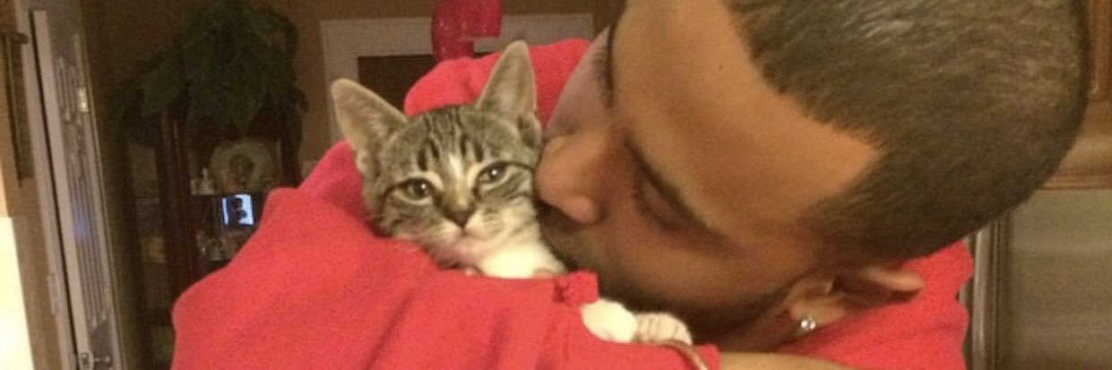 alipreddss's profile banner image