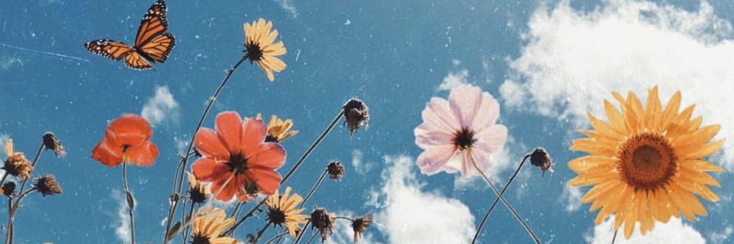 amanda__renzi's profile banner image