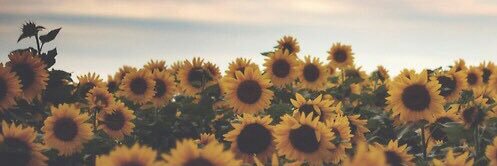 brimcc12's profile banner image