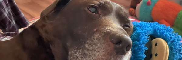 WhiskyElf Profile Banner