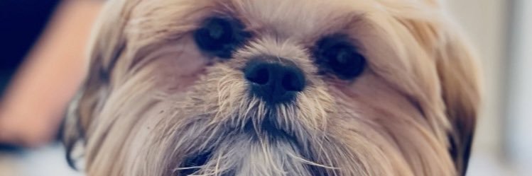 jaci_burner's profile banner image