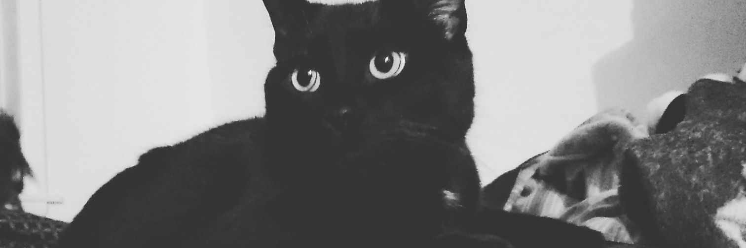 chuck07j's profile banner image
