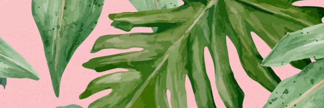 uniquelykiara_'s profile banner image