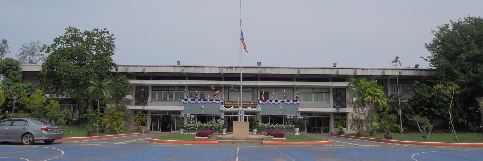 icez  banner