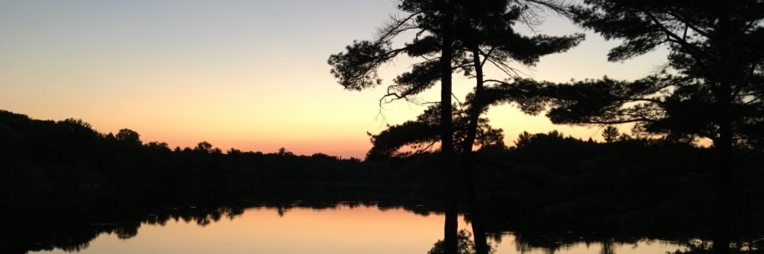 tom_frog's profile banner image