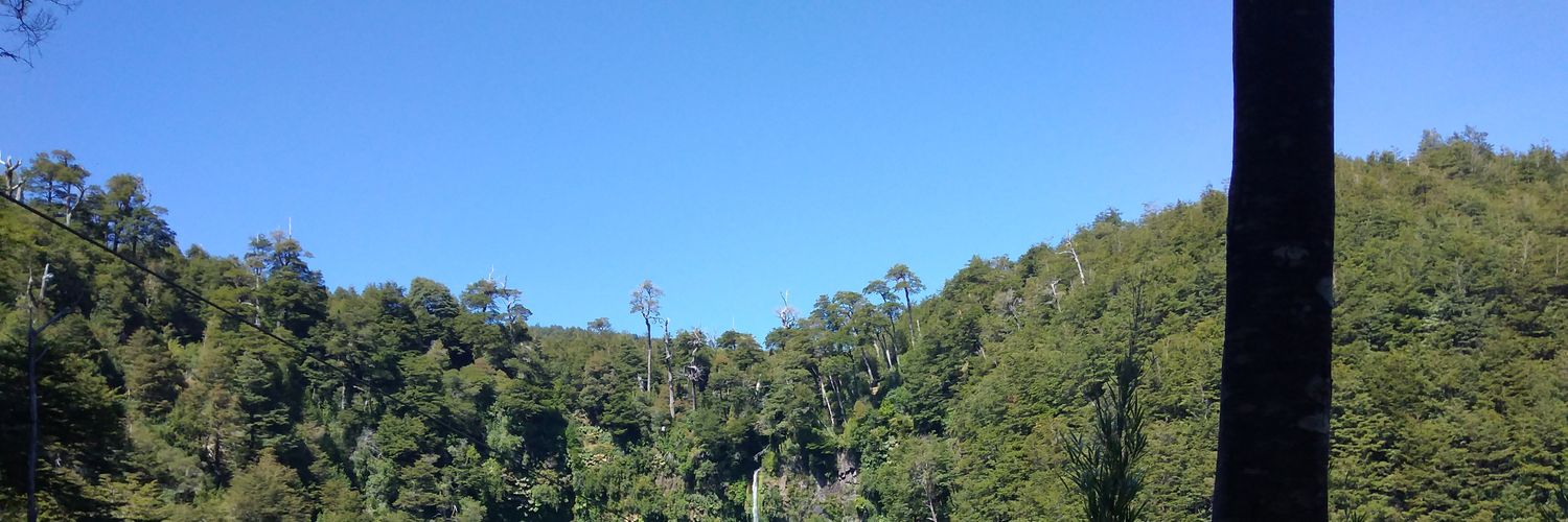 Niwal2Castle's profile banner image