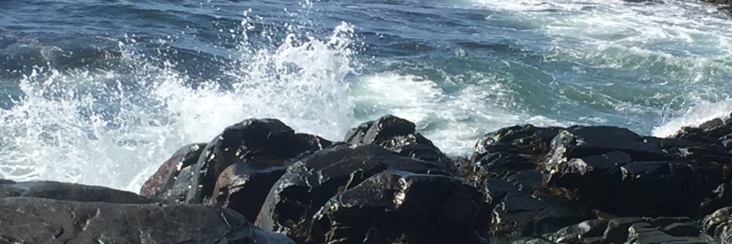 czickie's profile banner image
