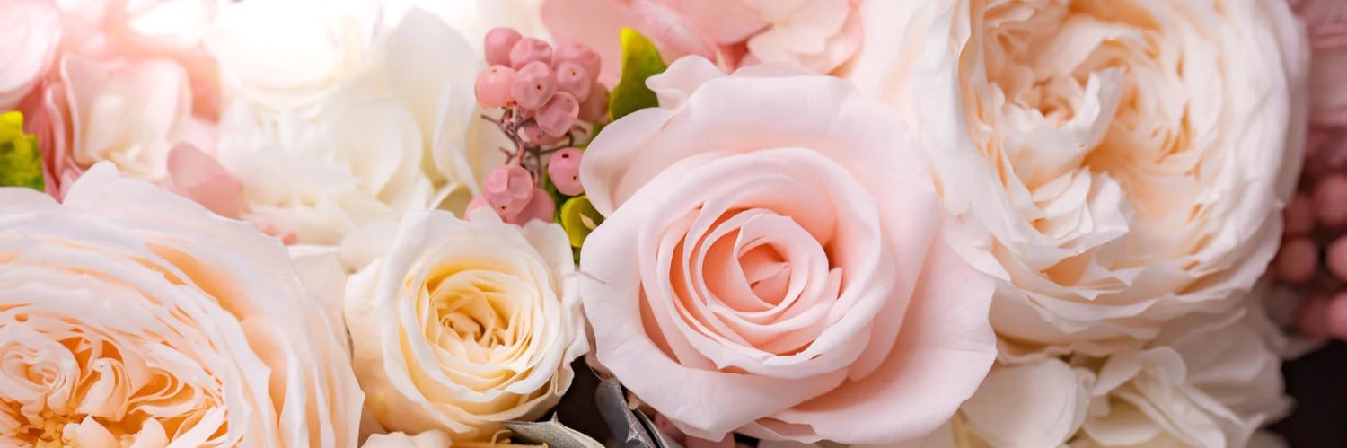 _n_ull__'s profile banner image
