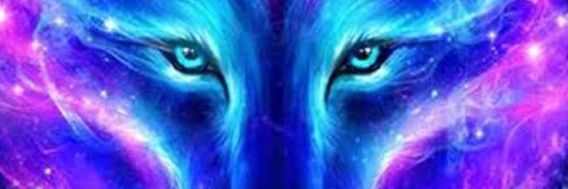 Mert351978's profile banner image