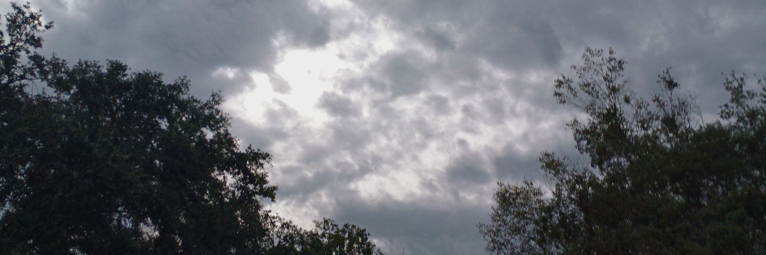 sinfulrosebabe's profile banner image