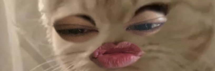 Frxxxxed's profile banner image