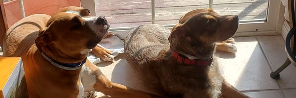 G33K_Marcus Profile Banner