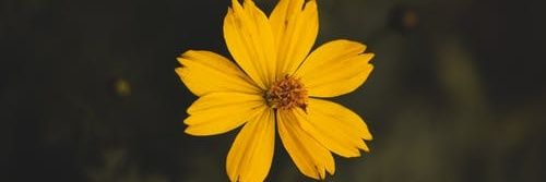 🇲🇾 K-Pop Store banner