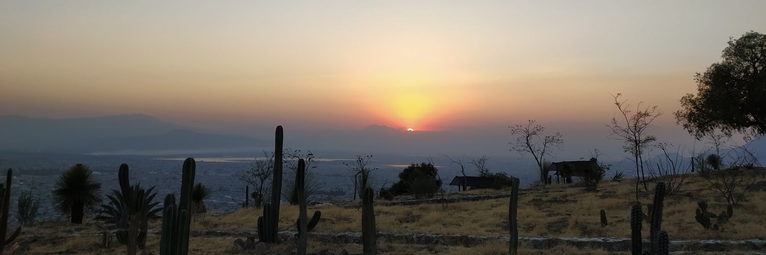 damarisfari's profile banner image