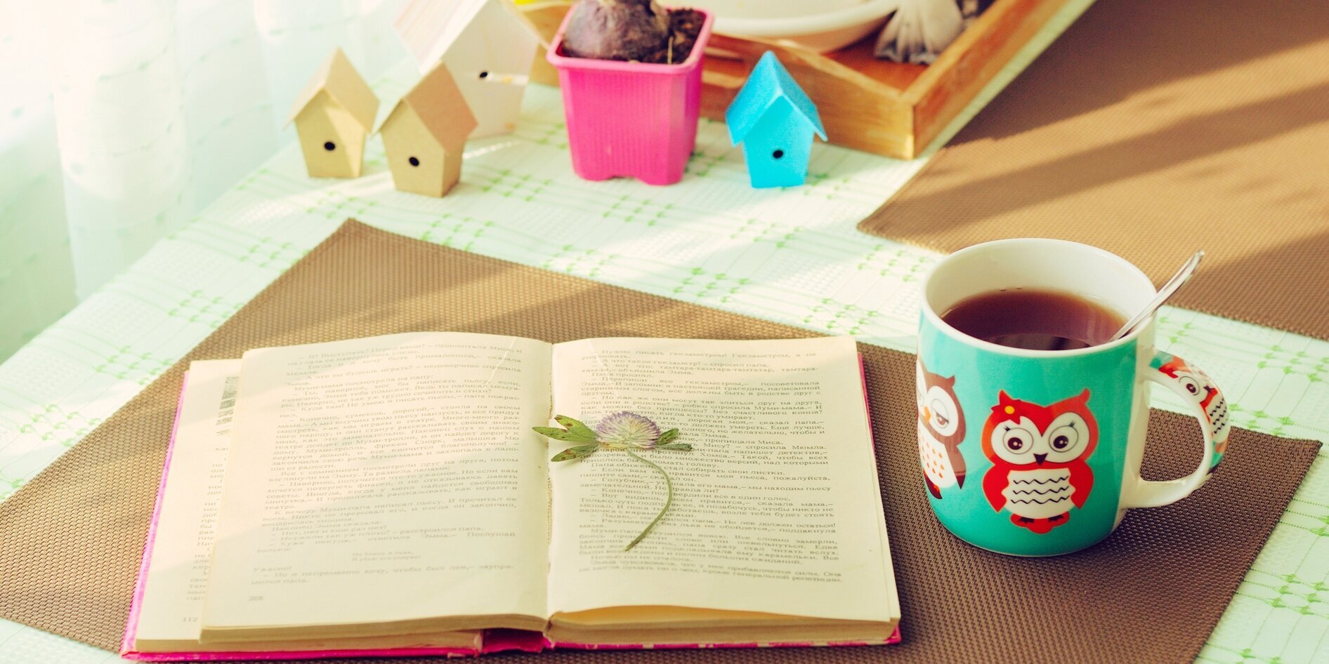 sapatelas febrian banner