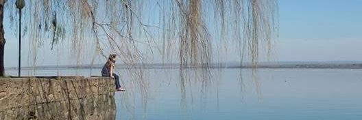 micaela_sc's profile banner image