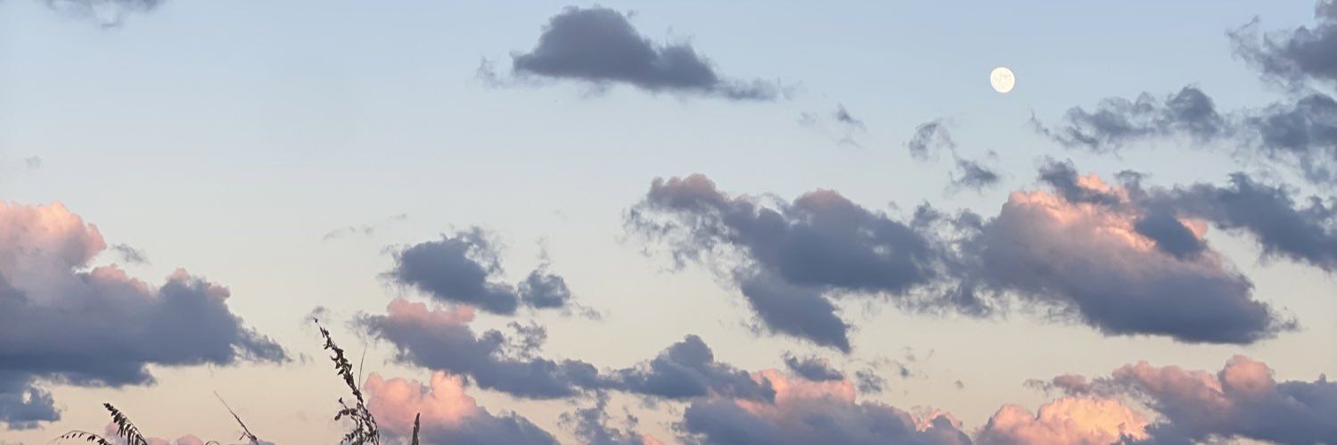 odilact's profile banner image