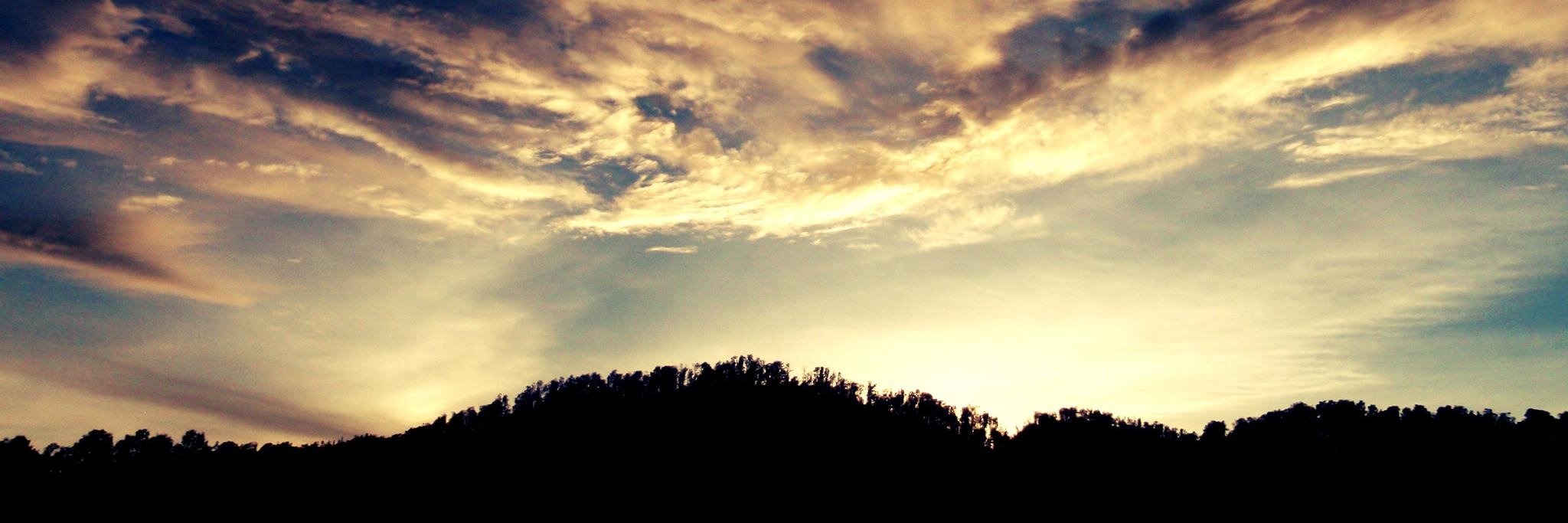 rhinocho's profile banner image