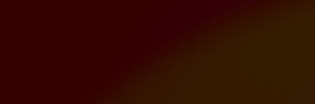 beagle1461's profile banner image