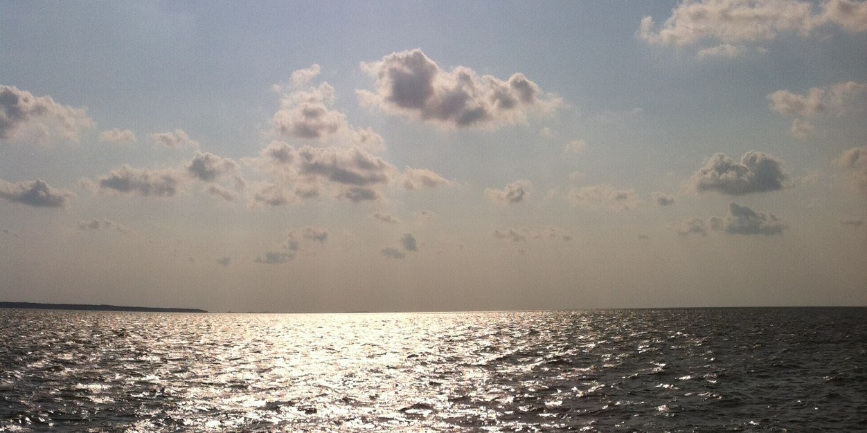 cesgard's profile banner image