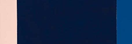 Marize Schons banner