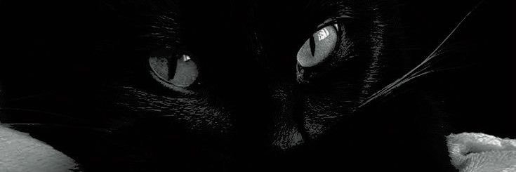 _sen4s's profile banner image