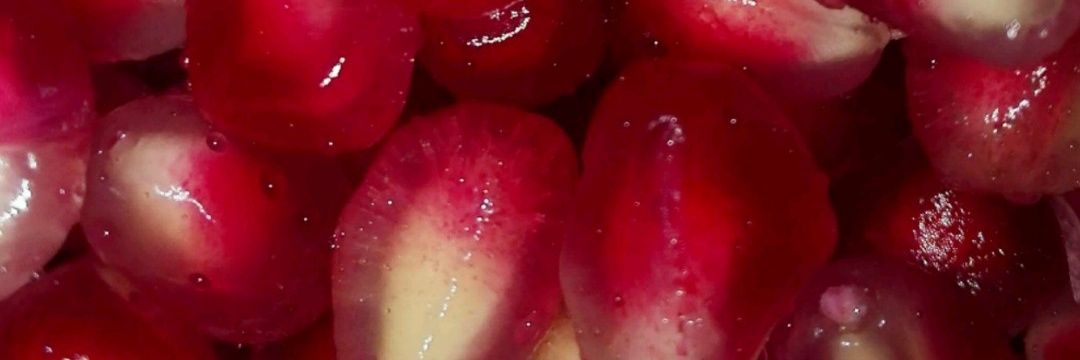 AngelsLie_'s profile banner image