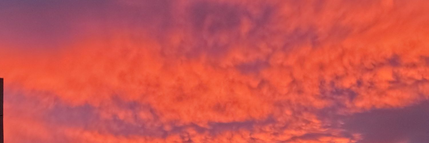 kaitamccormick's profile banner image
