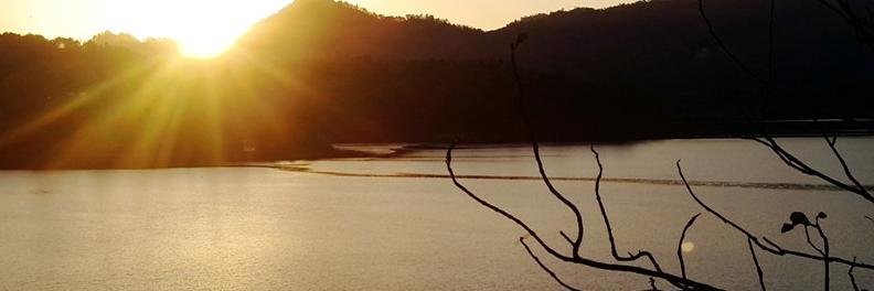 annisa_it's profile banner image