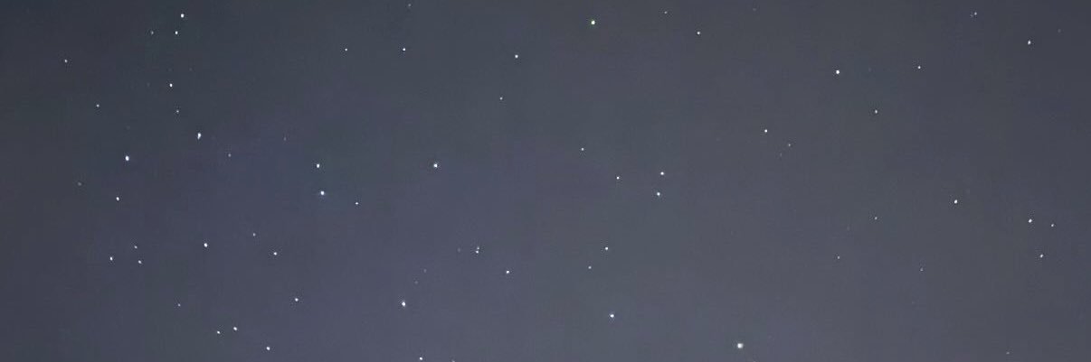 니키 banner