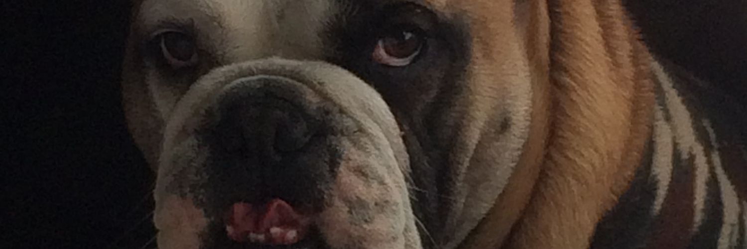 hh_nano's profile banner image