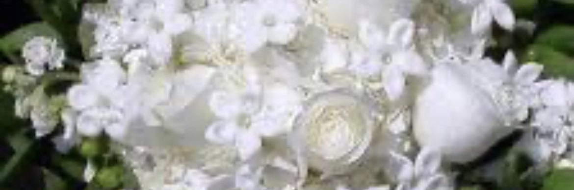 roaa_wa's profile banner image