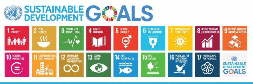 SDG 11 banner