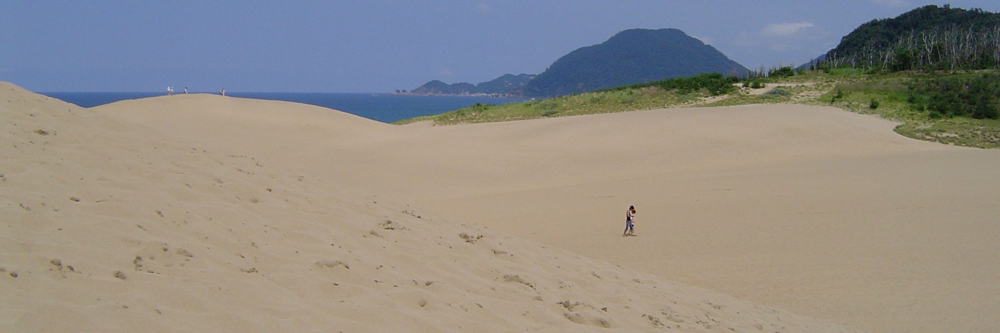 鈴木有理(週末作曲家） banner