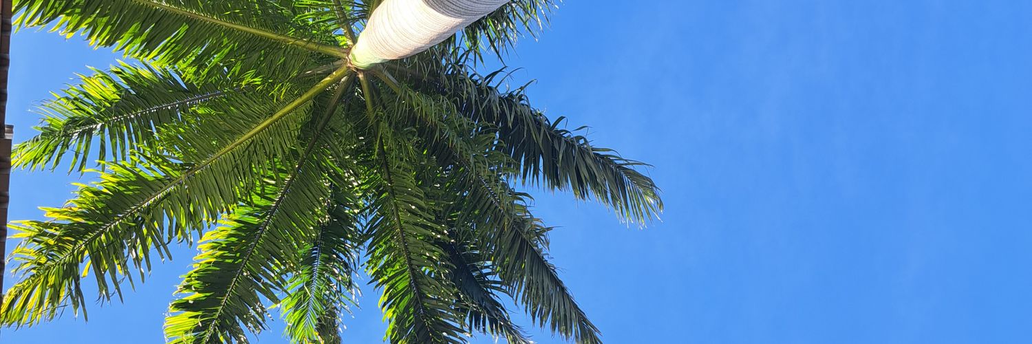 danielsz___'s profile banner image