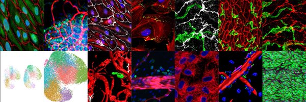 ArispeLab Profile Banner