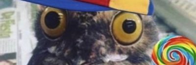 TheREALSunnyJ's profile banner image