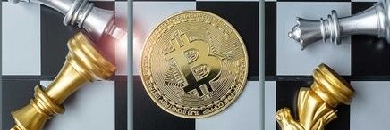 Wonderingcrypto banner