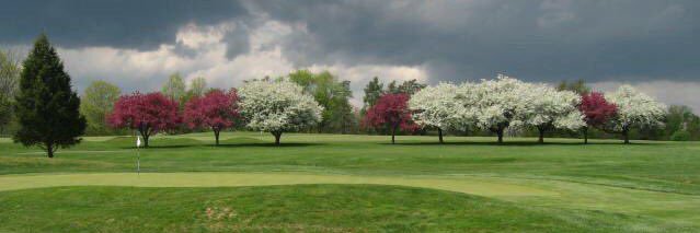 Marc Weston, CGCS banner