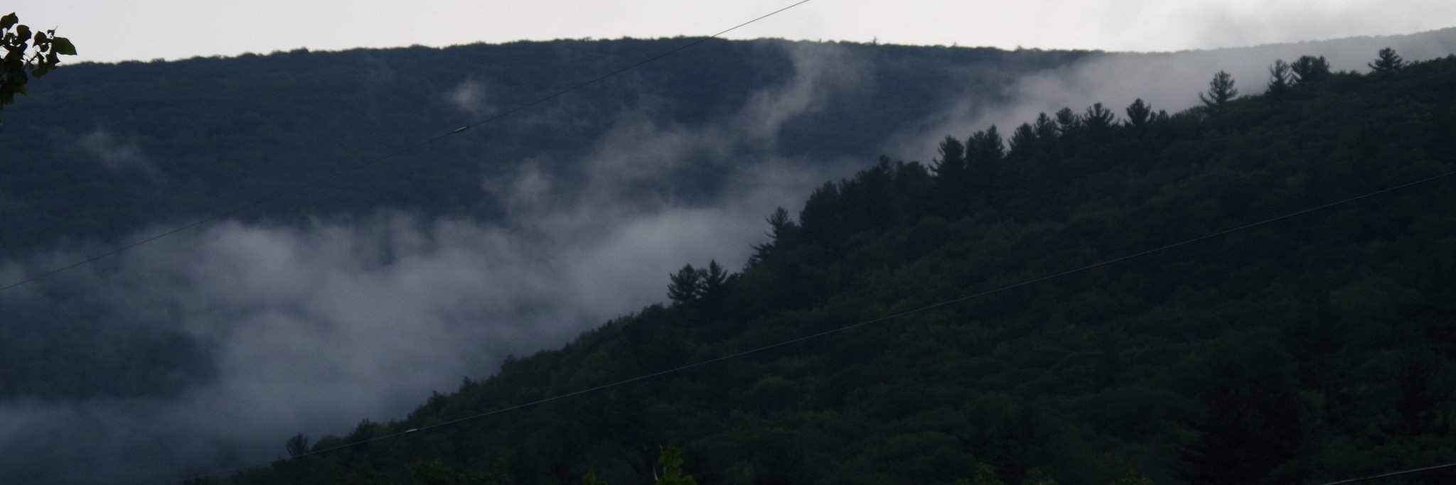 Greglee420's profile banner image