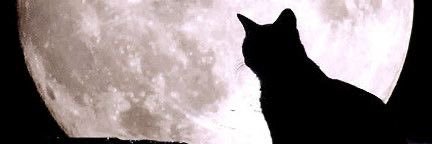 MrsBlackcat8's profile banner image