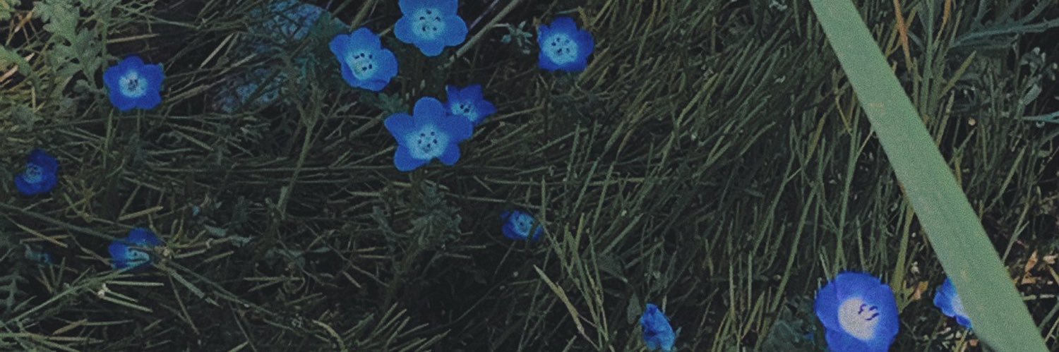 bairy122's profile banner image