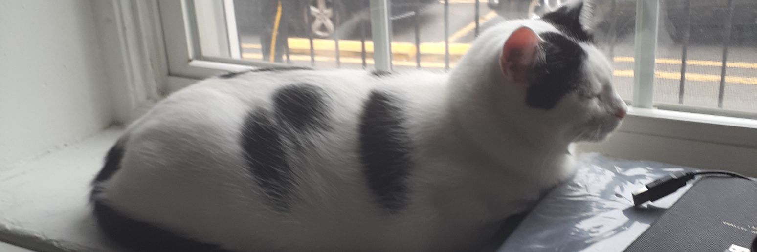 Alex Bonilla (on sky as @alexbonilla) banner