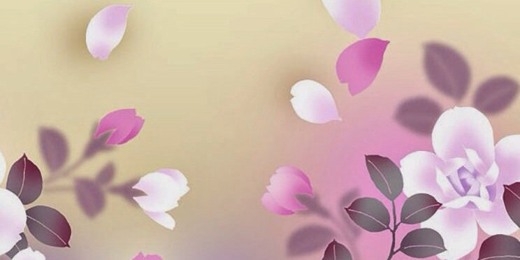MissusSW's profile banner image