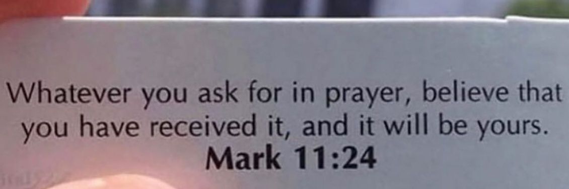 💫🌹🌻Prenisha🌻🌹💫 banner