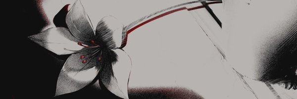 Saki_OMG Profile Banner