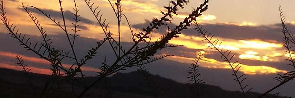 msbon89's profile banner image